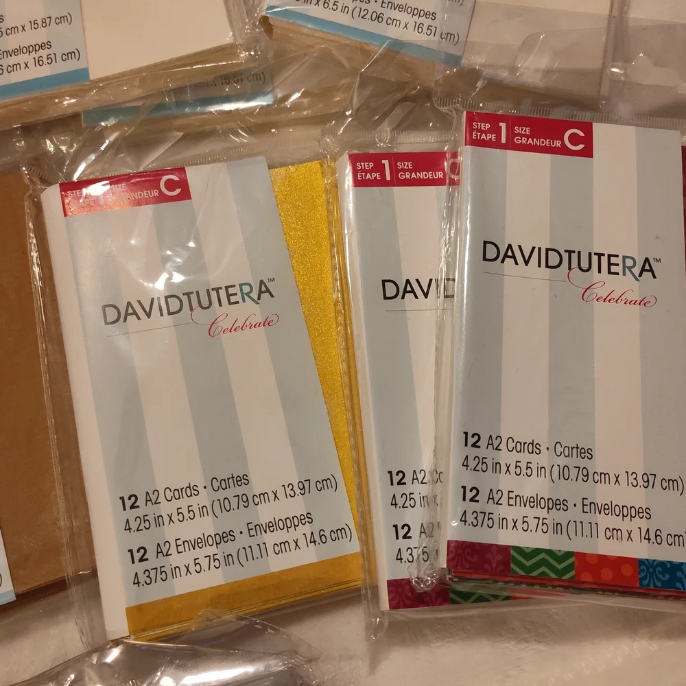 David Tutera Assorted Cardstock Pack - Multicolor